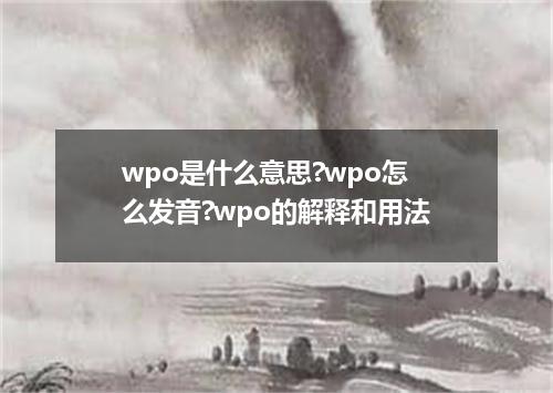 wpo是什么意思?wpo怎么发音?wpo的解释和用法