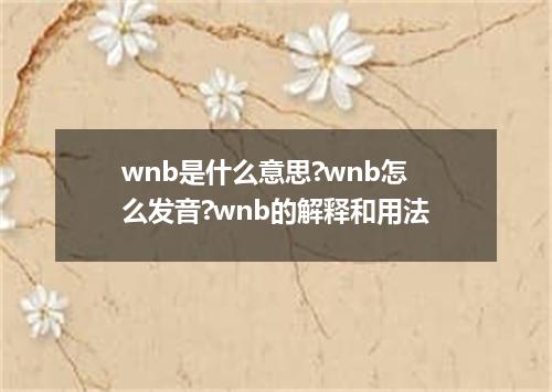 wnb是什么意思?wnb怎么发音?wnb的解释和用法