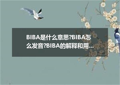 BIBA是什么意思?BIBA怎么发音?BIBA的解释和用法