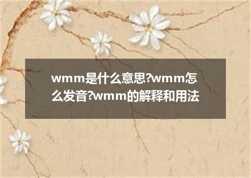 wmm是什么意思?wmm怎么发音?wmm的解释和用法