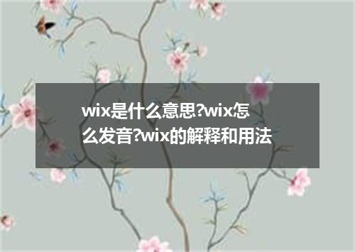 wix是什么意思?wix怎么发音?wix的解释和用法