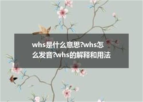 whs是什么意思?whs怎么发音?whs的解释和用法