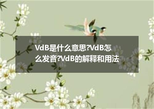 VdB是什么意思?VdB怎么发音?VdB的解释和用法