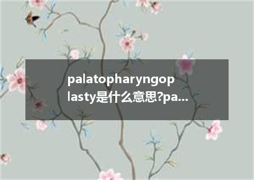 palatopharyngoplasty是什么意思?palatopharyngoplasty怎么发音?palatopharyngoplasty的解释和用法