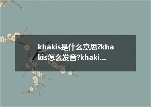 khakis是什么意思?khakis怎么发音?khakis的解释和用法