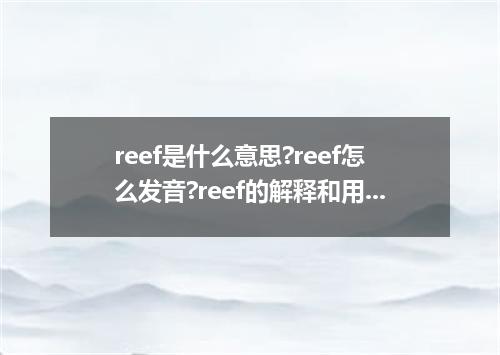reef是什么意思?reef怎么发音?reef的解释和用法