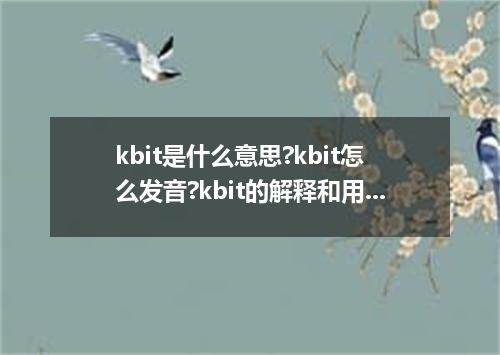 kbit是什么意思?kbit怎么发音?kbit的解释和用法