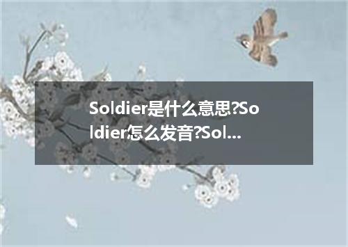 Soldier是什么意思?Soldier怎么发音?Soldier的解释和用法