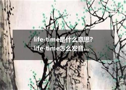 life-time是什么意思?life-time怎么发音?life-time的解释和用法