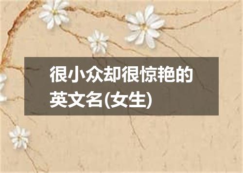 很小众却很惊艳的英文名(女生)
