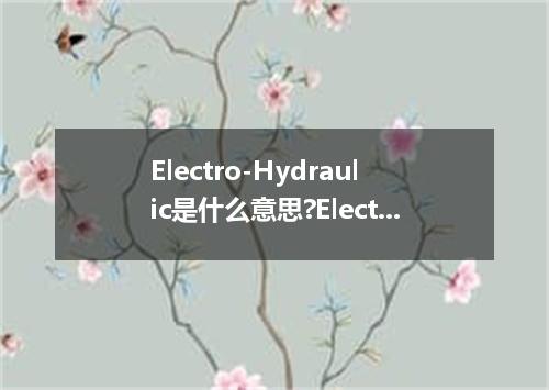 Electro-Hydraulic是什么意思?Electro-Hydraulic怎么发音?Electro-Hydraulic的解释和用法