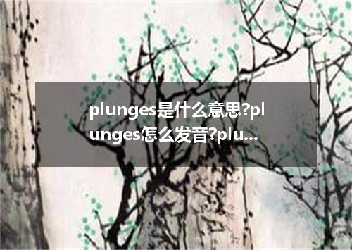 plunges是什么意思?plunges怎么发音?plunges的解释和用法
