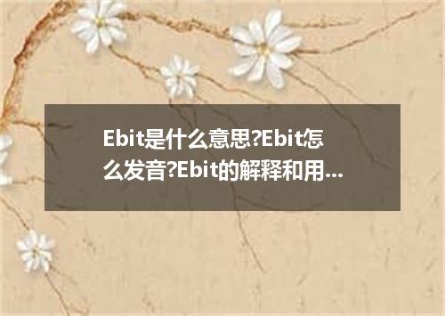 Ebit是什么意思?Ebit怎么发音?Ebit的解释和用法
