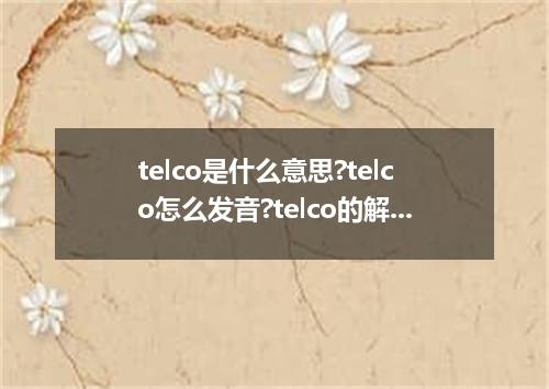 telco是什么意思?telco怎么发音?telco的解释和用法