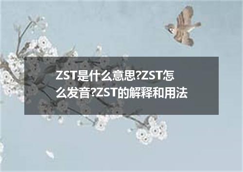 ZST是什么意思?ZST怎么发音?ZST的解释和用法