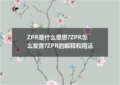 ZPR是什么意思?ZPR怎么发音?ZPR的解释和用法