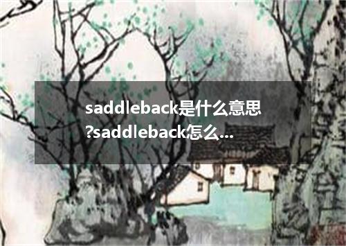 saddleback是什么意思?saddleback怎么发音?saddleback的解释和用法