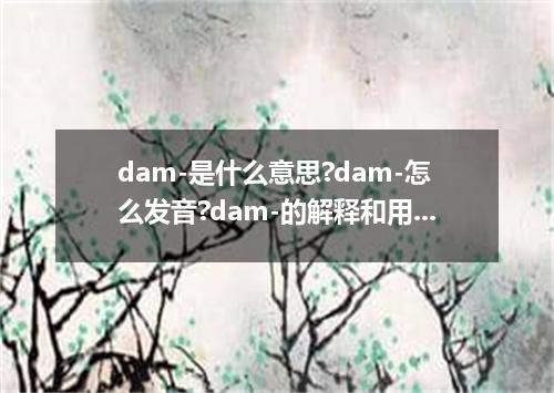 dam-是什么意思?dam-怎么发音?dam-的解释和用法