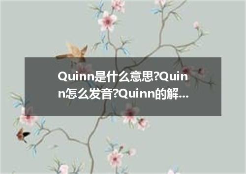 Quinn是什么意思?Quinn怎么发音?Quinn的解释和用法