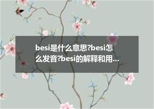 besi是什么意思?besi怎么发音?besi的解释和用法
