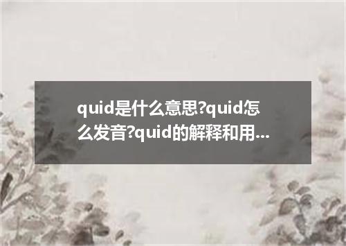 quid是什么意思?quid怎么发音?quid的解释和用法