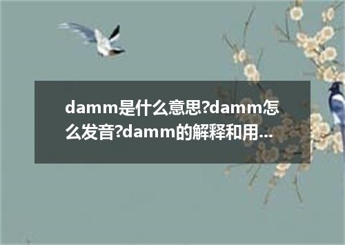 damm是什么意思?damm怎么发音?damm的解释和用法