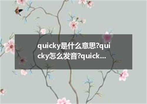quicky是什么意思?quicky怎么发音?quicky的解释和用法
