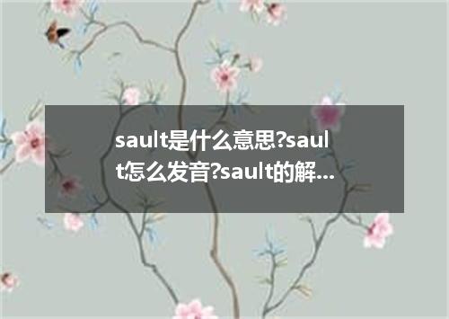 sault是什么意思?sault怎么发音?sault的解释和用法
