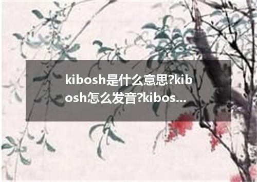 kibosh是什么意思?kibosh怎么发音?kibosh的解释和用法
