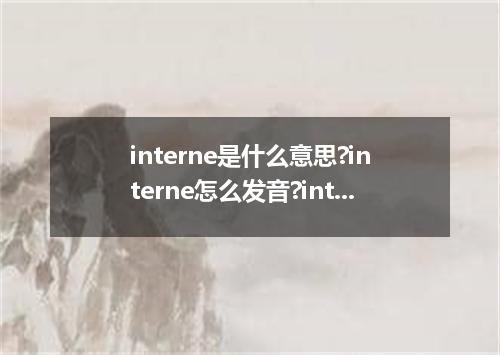 interne是什么意思?interne怎么发音?interne的解释和用法