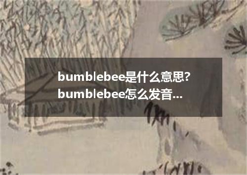 bumblebee是什么意思?bumblebee怎么发音?bumblebee的解释和用法