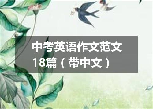 中考英语作文范文18篇(带中文)
