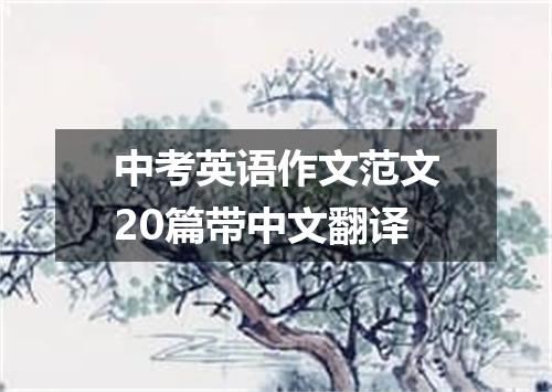 中考英语作文范文20篇带中文翻译