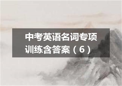 中考英语名词专项训练含答案(6)