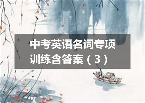 中考英语名词专项训练含答案(3)