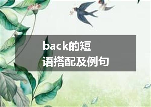 back的短语搭配及例句