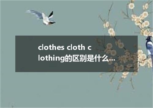 clothes cloth clothing的区别是什么?