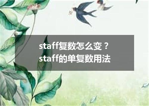 staff复数怎么变?staff的单复数用法