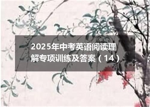 2025年中考英语阅读理解专项训练及答案(14)
