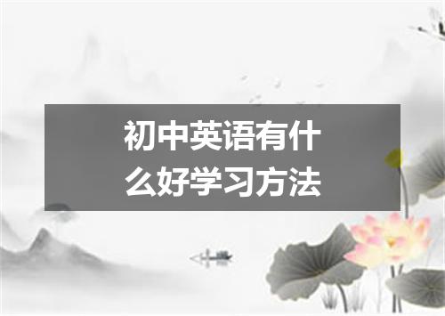 初中英语有什么好学习方法