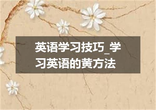 英语学习技巧_学习英语的黄方法