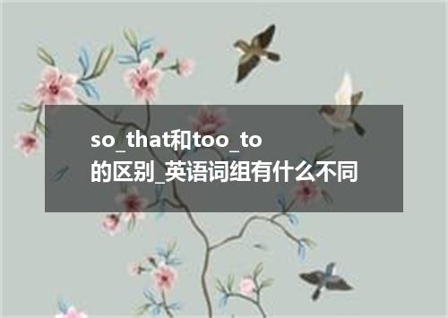 so_that和too_to的区别_英语词组有什么不同
