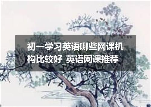 初一学习英语哪些网课机构比较好_英语网课推荐