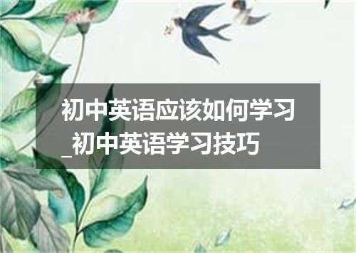 初中英语应该如何学习_初中英语学习技巧