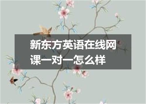 新东方英语在线网课一对一怎么样