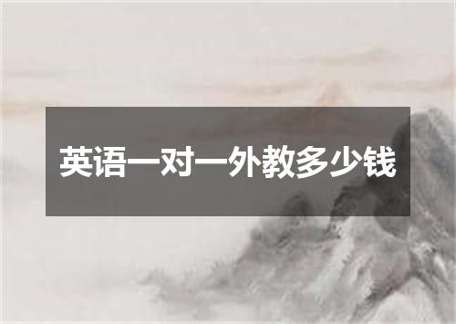 英语一对一外教多少钱