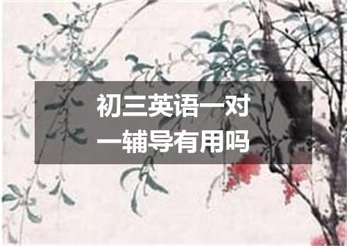 初三英语一对一辅导有用吗