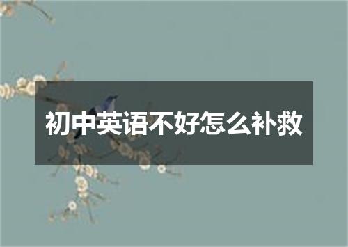 初中英语不好怎么补救