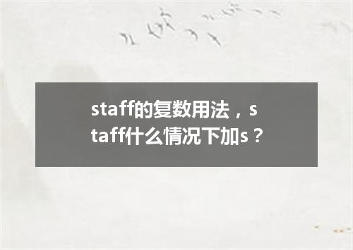 staff的复数用法,staff什么情况下加s?