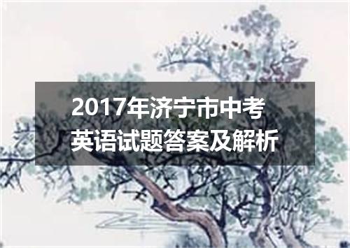 2017年济宁市中考英语试题答案及解析
